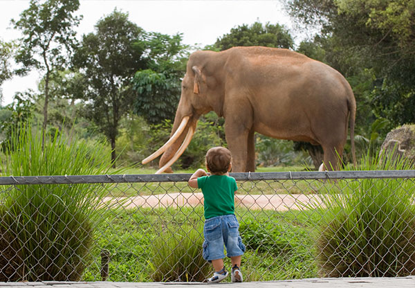 Zoo in Phoenix